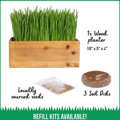 The Cat Ladies Cat Grass Kit & Decorative Wood Planter, Natural slide 2 of 8