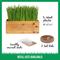 Show in main carousel: The Cat Ladies Cat Grass Kit & Decorative Wood Planter, Natural slide 4 of 11