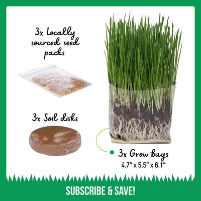 Show full view: The Cat Ladies Organic Pet Grass Grow Kit, 3 count slide 4 of 10