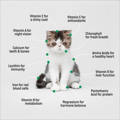 Show full view: The Cat Ladies Organic Pet Grass Grow Kit, 3 count slide 5 of 10