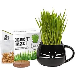 The Cat Ladies Organic Pet Grass Grow Kit with Planter, Black