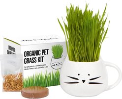 The Cat Ladies Organic Pet Grass Grow Kit with Planter, White