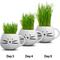 Show in main carousel: The Cat Ladies Organic Pet Grass Grow Kit with Planter, White slide 5 of 10