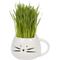 Show in main carousel: The Cat Ladies Organic Pet Grass Grow Kit with Planter, White slide 7 of 10