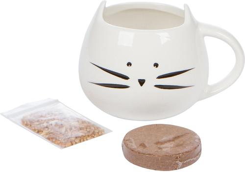 Show full view: The Cat Ladies Organic Pet Grass Grow Kit with Planter, White slide 8 of 10