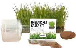 The Cat Ladies Organic Pet Grass Growing Kit with Containers, 3 count slide 1 of 8