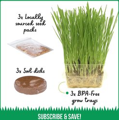 The Cat Ladies Organic Pet Grass Growing Kit with Containers, 3 count slide 2 of 7