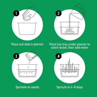 Show full view: The Cat Ladies Organic Pet Grass Growing Kit with Containers, 3 count slide 6 of 10