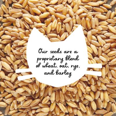 Show full view: The Cat Ladies Organic Pet Grass Refill Kit slide 9 of 10