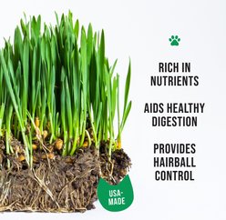 The Cat Ladies Organic Pet Grass Seed, 8-oz bag slide 2 of 8
