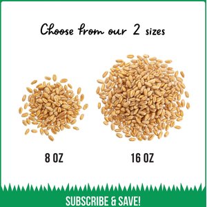 The Cat Ladies Organic Pet Grass Seed, 8-oz bag