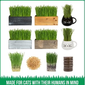 The Cat Ladies Organic Pet Grass Seed, 8-oz bag