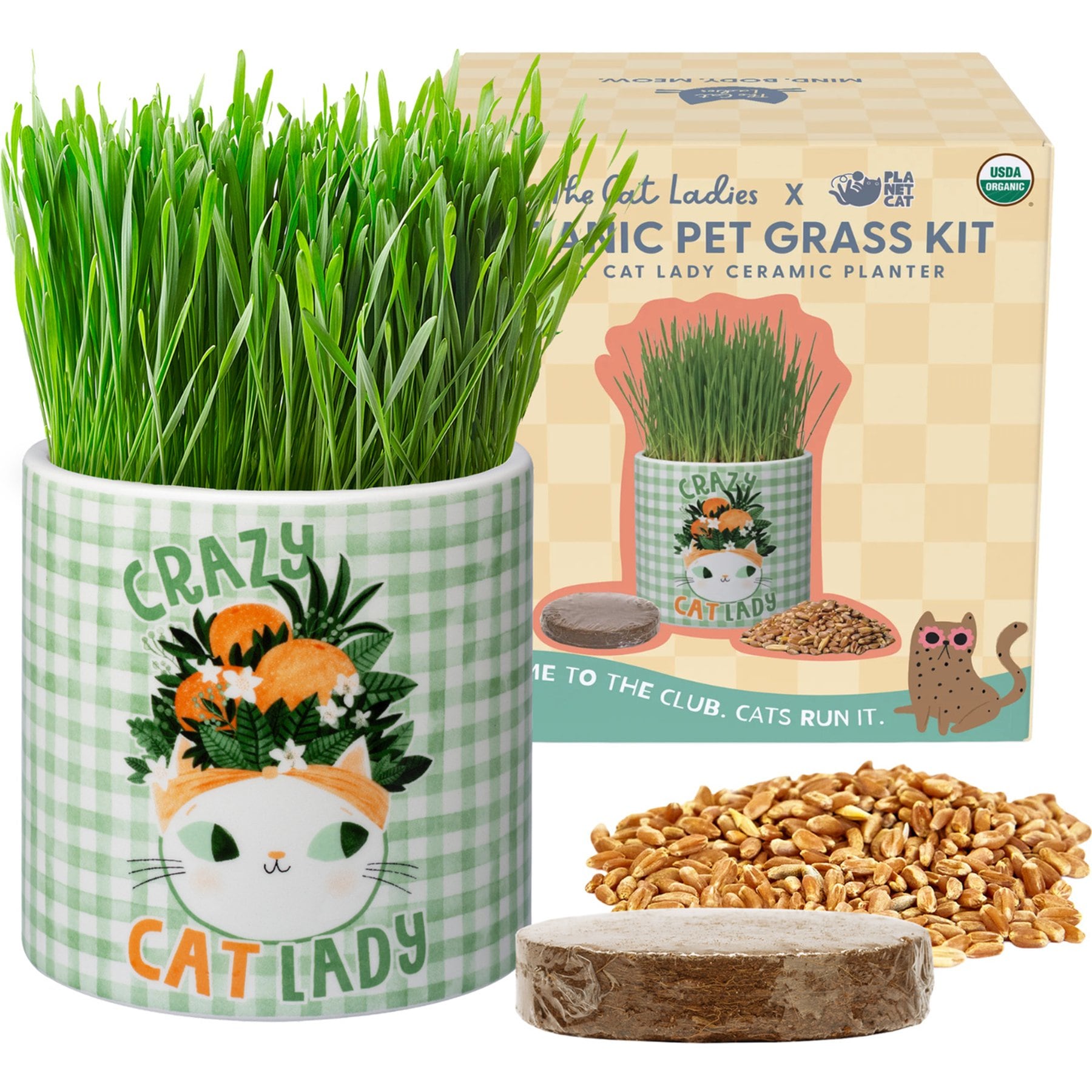 The Cat Ladies Planet Crazy Lady Ceramic Kit Cat Grass
