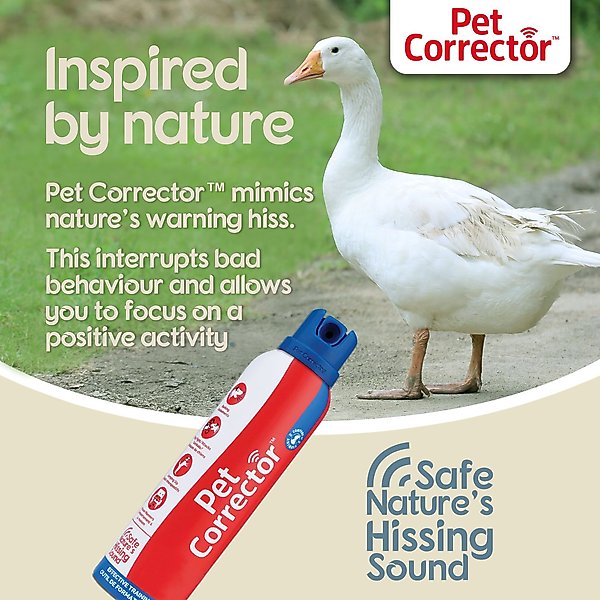 The Company of Animals Pet Corrector Dog Training Aid (Free