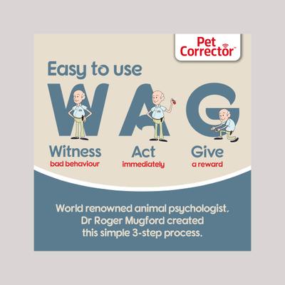 Show full view: The Company of Animals Pet Corrector Dog Training & Bark Stopping Aid, 200-mL, 4 count slide 3 of 11