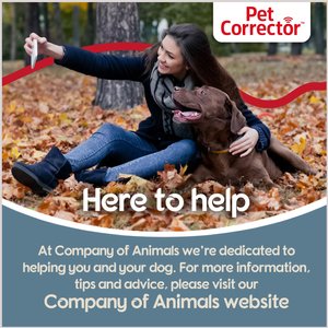 The Company of Animals Pet Corrector Dog Training & Bark Stopping Aid, 30-mL