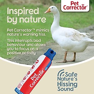 The Company of Animals Pet Corrector Dog Training & Bark Stopping Aid, 50-mL
