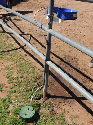 Show full view: The Easy-Clean Water Bowl Dog, Cat & Livestock Auto-Fill Water Bowl with Hose, 32-oz, 10-ft Hose slide 6 of 10