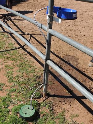 Show full view: The Easy-Clean Water Bowl Dog, Cat & Livestock Auto-Fill Water Bowl with Hose, 32-oz, 5-ft Hose slide 5 of 10