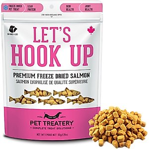 The Granville Island Pet Treatery Let's Hook Up Freeze-Dried Salmon Dog & Cat Treats, 1.76--oz bag