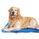 The Green Pet Shop Cool Pet Pad, Blue, Large