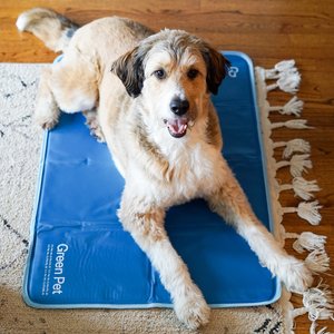 The Green Pet Shop Cool Pet Pad, Blue, Large