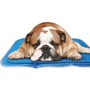 The Green Pet Shop Cool Pet Pad, Blue, Medium