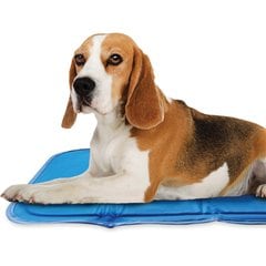 The Green Pet Shop Cool Pet Pad, Blue, Small