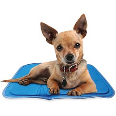 The Green Pet Shop Cool Pet Pad, Blue, X-Small