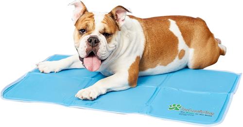 Show full view: The Green Pet Shop Cool Pet Pad, Medium slide 3 of 9