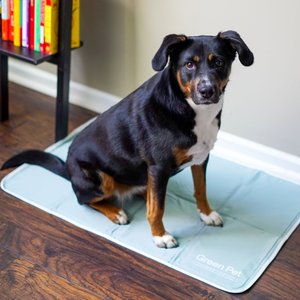 The Green Pet Shop Cool Pet Pad, Sage Gray, Large