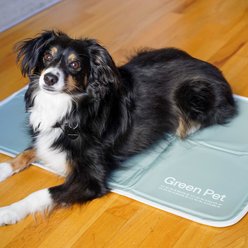 The Green Pet Shop Cool Pet Pad, Sage Gray, Medium
