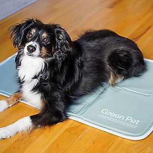 The Green Pet Shop Cool Pet Pad, Sage Gray, Medium