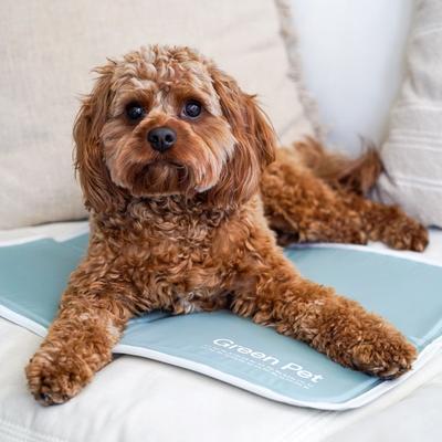 Show full view: The Green Pet Shop Cool Pet Pad, Sage Gray, Small slide 1 of 3