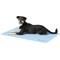 Show in main carousel: The Green Pet Shop Cool Pet Pad, X-Large slide 3 of 9