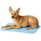 Show in main carousel: The Green Pet Shop Cool Pet Pad, X-Small slide 3 of 10