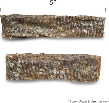 Show full view: The Honest Kitchen Beams Ocean Chews Wolfish Skins + Beams Ocean Chews Cod Fish Skins Dehydrated Dog Treats slide 9 of 9