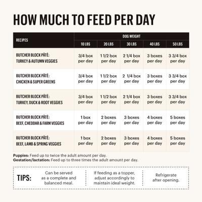 Show full view: The Honest Kitchen Butcher Block Pate Turkey & Autumn Veggies Pate Wet Dog Food, 10.5-oz box, bundle of 12  slide 5 of 11