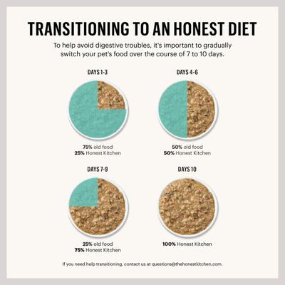 Show full view: The Honest Kitchen Butcher Block Pate Turkey & Autumn Veggies Pate Wet Dog Food, 10.5-oz box, bundle of 12  slide 10 of 11