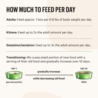 Show full view: The Honest Kitchen Grain-Free Beef & Chicken Pate Wet Cat Food, 5.5-oz box, bundle of 24  slide 8 of 9