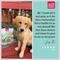 Show in main carousel: The Honest Kitchen Food Clusters Whole Grain Chicken & Oat Recipe Puppy Blend Dog Food, 8-lb bundle slide 10 of 12