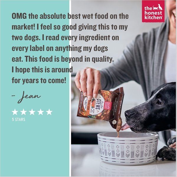 The Honest Kitchen One Pot Stew Simmered Salmon & Chicken Stew Wet Dog Food, 10.5-oz, case of 6