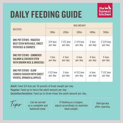 Show full view: The Honest Kitchen One Pot Stews Roasted Beef Stew Wet Dog Food, 10.5-oz box, bundle of 12  slide 9 of 10