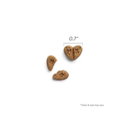 Show full view: The Honest Kitchen Human Grade Parmesan Pecks Chicken, Parmesan & Cranberry Recipe Dog Treats, 16-oz bundle slide 5 of 7