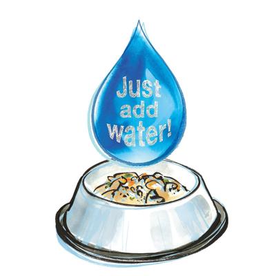 Show full view: The Honest Kitchen Whole Food Clusters Chicken Recipe + Daily Boosters Instant Goat's Milk with Probiotics for Dogs slide 9 of 9