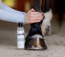 The Infused Equestrian Comfort Horse Liniment Soothing Gel, 8-fl oz bottle slide 2 of 3