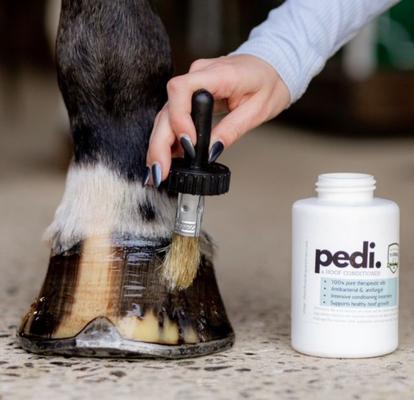Show full view: The Infused Equestrian Pedi Hoof Horse Conditioner, 16-fl oz bottle slide 2 of 2