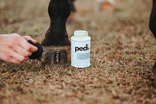 Show full view: The Infused Equestrian Pedi Hoof Horse Conditioner, 8-fl oz bottle slide 2 of 2