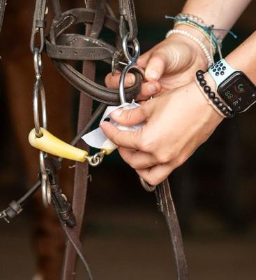 Show full view: The Infused Equestrian Pure Peppermint Horse Bit Wipe Towelette, 30 count slide 2 of 2