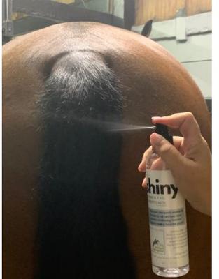 Show full view: The Infused Equestrian Shiny Mane & Tail Horse Conditioner, 8-fl oz bottle slide 2 of 3